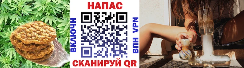 Купить где  Междуреченск  Canna-Cookies конопля 