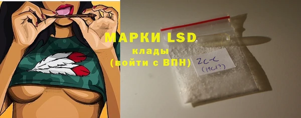 индика Армянск