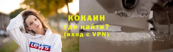 индика Армянск