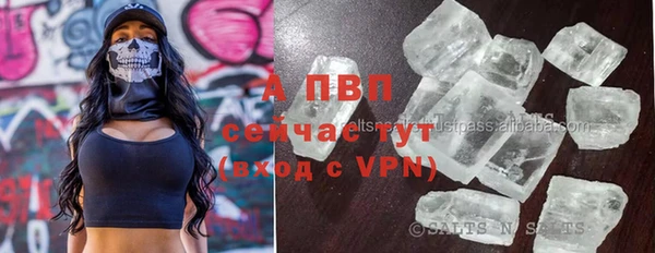 apvp Аркадак