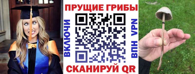 Псилоцибиновые грибы MAGIC MUSHROOMS Купить закладки Междуреченск